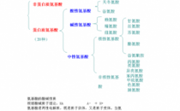 蛋白质的应用科技知识点（蛋白质的相关知识点）