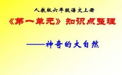 大自然的科技知识点（大自然的科学知识有哪些）