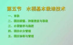 水稻最新科技知识问答题目（水稻知识试题库）