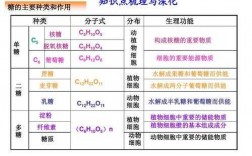 关于糖类的科技知识（关于糖类的问题及答案）