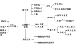 怎么自学生物科技知识（生物技术怎么学）