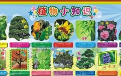 关于植物科技知识资料（关于植物科技知识资料大全）