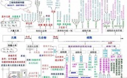 生物科技知识图谱大全高中（生物科技小知识）