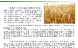 关于小麦的科技知识资料（关于小麦的科技知识资料图片）