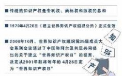 信息科技知识产权保护制度（信息技术与知识产权）