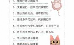 养猫必备科技知识大全图片（养猫知识大全 书）