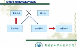 育肥肉牛犊科技知识（育肥肉牛犊科技知识讲解）