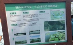 湿地科技知识讲座心得（湿地科普宣教材料）