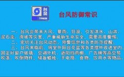 预防台风的科技知识点（预防台风的科技知识点总结）