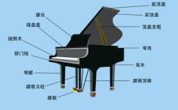 钢琴黑科技知识有哪些（钢琴科普知识）