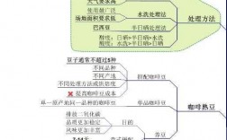 咖啡制作科技知识点总结（咖啡的制作实验步骤）