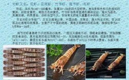 关于虾的科技知识（关于虾的科普视频）