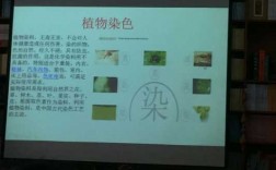 植物染色科技知识培训内容（植物染色科技知识培训内容怎么写）