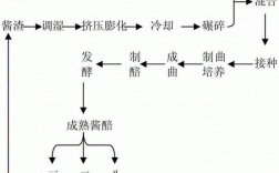 酱油的制作科技知识点（酱油的制作工艺流程）