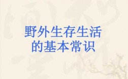 生存必备的科技知识有哪些（有哪些生存技能）