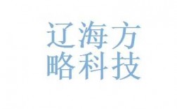 方略科技知识产权官网（方略科技咨询有限公司）