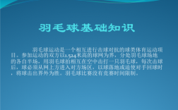 羽毛球科技知识（100个羽毛球知识）