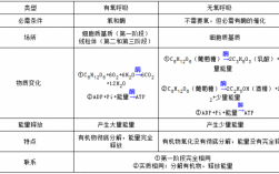 有氧呼吸科技知识手册答案（有氧呼吸科技知识手册答案解析）