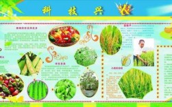 种植科技知识图片素材（科学种植技术）