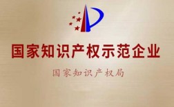 科技知识产权制裁办法（科技公司知识产权）