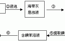 压缩海带的科技知识点总结（压缩海带的科技知识点总结图）