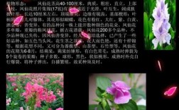 关于花的科技知识（关于花的科普）