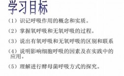 有氧呼吸科技知识手册内容的简单介绍