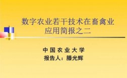 宣传数字农业科技知识简报（关于数字农业发展的个人发言稿）