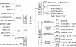 高中生物现代生物科技知识（高中现代生物科技专题）