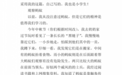 科技知识论文观察蚂蚁（关于蚂蚁的科学小论文400字）