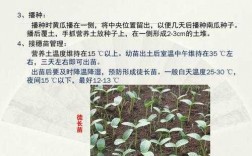 蔬菜嫁接科技知识培训内容（蔬菜嫁接科技知识培训内容怎么写）