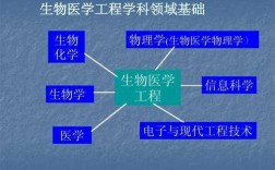 生物医学工程科技知识（生物医学工程专业基础知识）