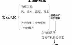 土壤种植科技知识点归纳（土壤种植科技知识点归纳图）