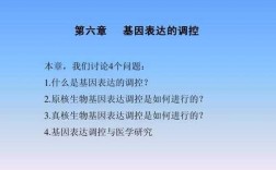 跟基因有关的科技知识（与基因有关的课题）