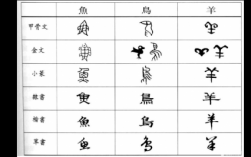 文字演变中的科技知识（文字演变中的科技知识有哪些）