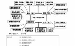 现代生物科技知识网图（现代生物科技专题知识点总结）