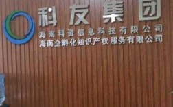 海南科资信息科技知识产权（海南科技局官网）