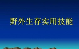 生存必备的科技知识是什么（生存必备的技能）