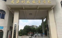 武汉科技知识学院（武汉科技职业职业学院）