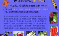 蔬菜科技知识（蔬菜科学）