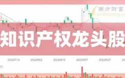 科技知识产权龙头（科技知识产权龙头股票）