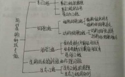 高中现代生物科技知识点（高中生物现代科技专题）