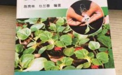 蔬菜嫁接科技知识点（蔬菜嫁接栽培实用技术）