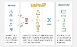 数码科技知识产权（数码视讯知识产权）