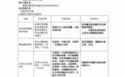 细胞核相关科技知识（细胞核的相关知识点）