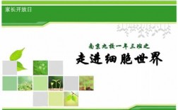 生物科技知识ppt（生物科技课程）