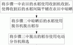 收割水稻科技知识点归纳（收割水稻过程）