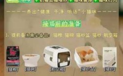 养猫必备科技知识大全图（养猫必备科技知识大全图解）