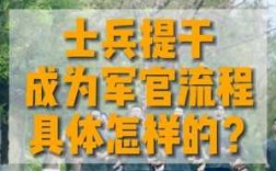 军官提干科技知识有哪些（军官提干科技知识有哪些方面）