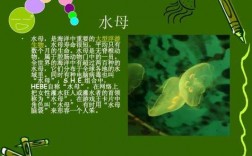 海洋动物掌握的高科技知识（海洋动物掌握的高科技知识）